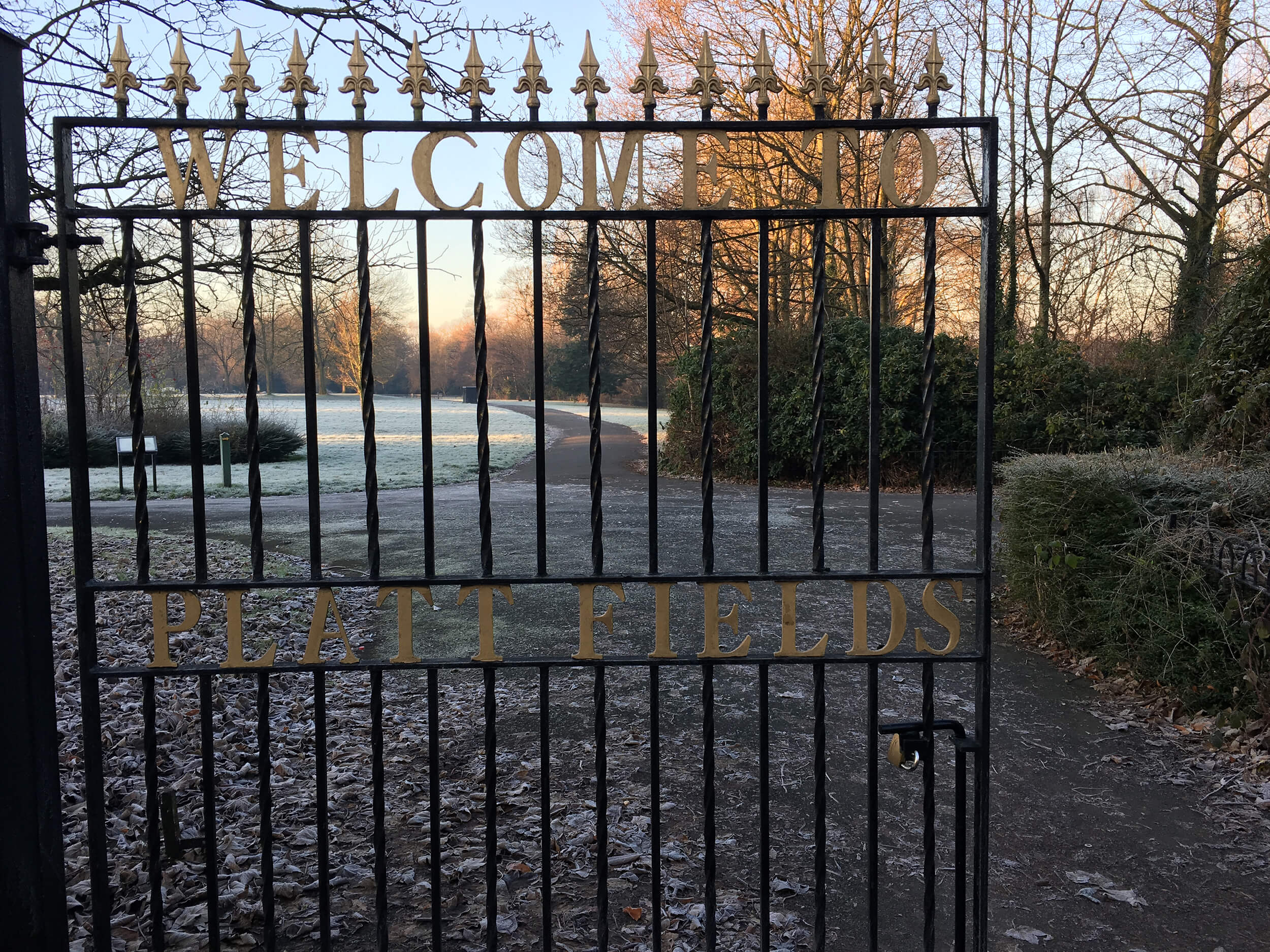Platt Fields