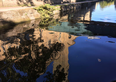 Canal, Saltaire (2)